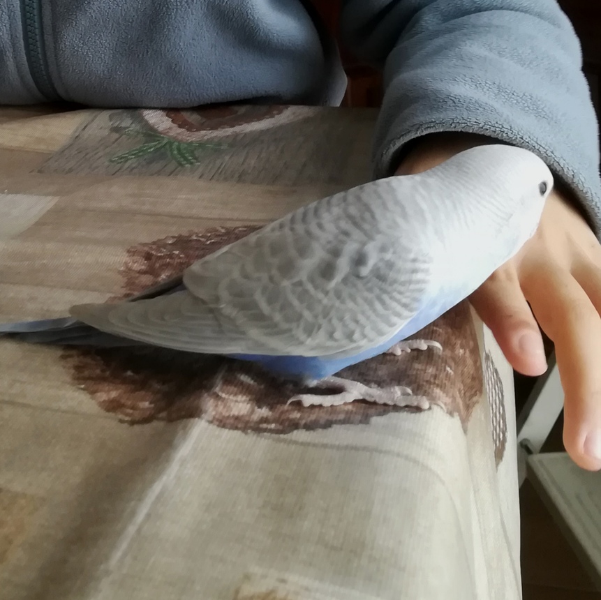 Che mutazioni?